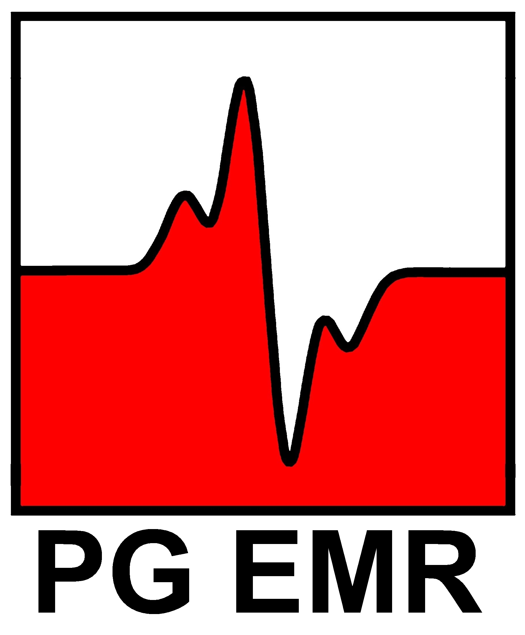 LOGO PG EMR